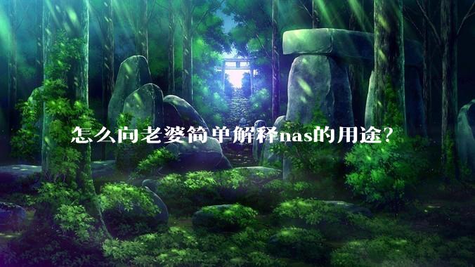 怎么向老婆简单解释nas的用途？